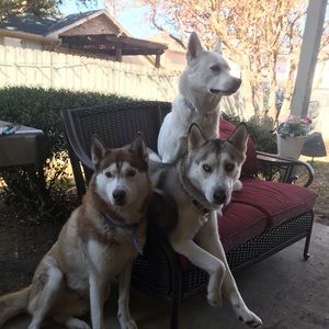 Meet your Posher, Aldo